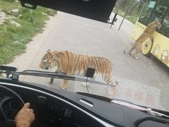 -西安秦岭野生动物园