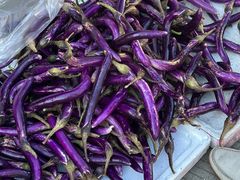 -东天目山风景区