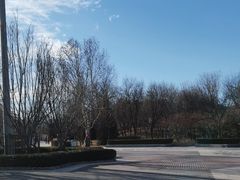 -北坞公园