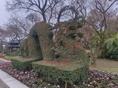 -金花茶公园