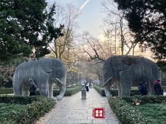 景点-明孝陵