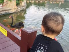 -森波拉奇妙世界