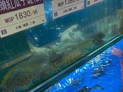 -協成海鮮火鍋(老店)
