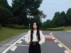 -铁山坪森林公园