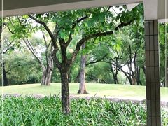 -晓港公园