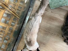 -牛喵喵铜锅牛肉馆