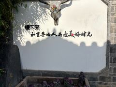 -慢丽江·云南野生菌土鸡锅(付家庄店)