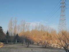 -长白岛森林公园