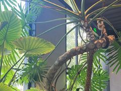 -J Create城市露营咖啡·简餐·宠物(上海动物园店)