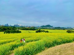 -光明小镇欢乐田园