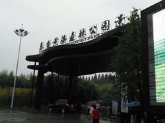 -黄海国家森林公园