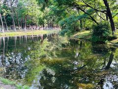 -长白岛森林公园