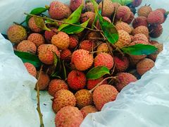 -海底捞火锅(杭州萧山宝龙广场店)