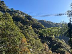 -宁波五龙潭景区