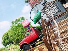-田园东方蜜桃村的田野营地