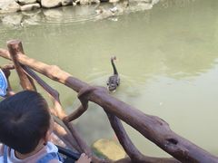 -青峰峡国家森林公园