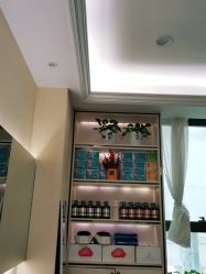 -碧莲盛·不剃发植发