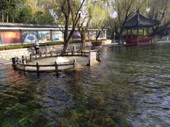 -百脉泉景区