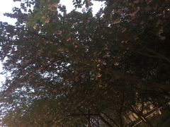 -西安市长乐公园