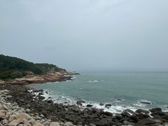 -广东惠东海龟国家级自然保护区