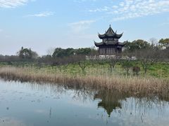 -上海海湾国家森林公园