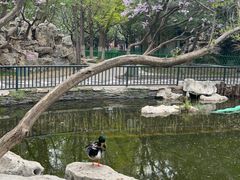 -宣武艺园