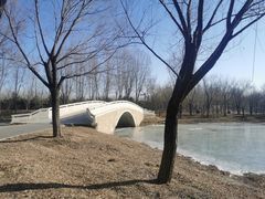 -东郊湿地公园