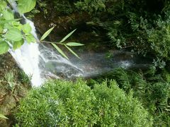 android_upload_pic-鼎湖山风景区