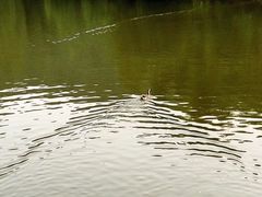 -滴水岩森林公园