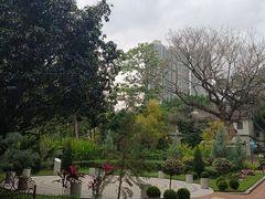 -九龙公园
