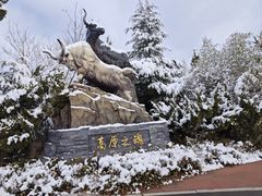 -济南野生动物世界