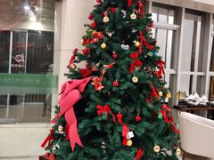 -上海爱以德护理院·康复(宝山院)