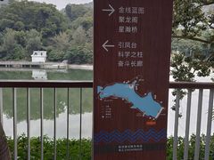 -银湖山郊野公园-相思林