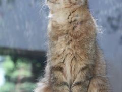 -青藏高原野生动物园