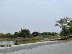 -王借岗森林公园