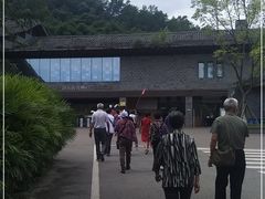 -都江堰中华大熊猫苑