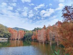 -广州市白云山风景名胜区