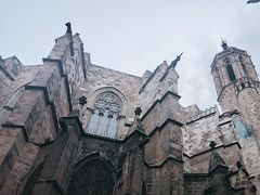 -巴塞罗那主教座堂