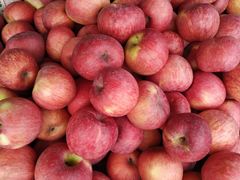 -细村农贸综合市场