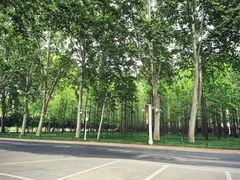 -河南省黄河迎宾馆