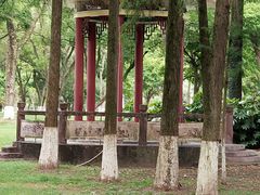 -永安龟山公园