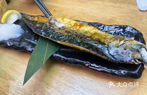 Large Mackerel