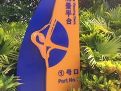 -演武大桥观景平台