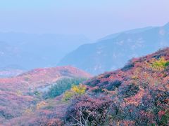 -周口店坡峰岭风景区