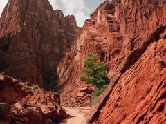 -天山神秘大峡谷