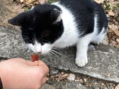 -上海佘山国家森林公园天马山园