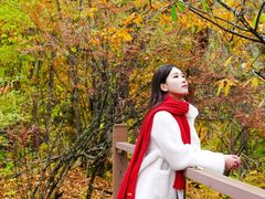 -叠溪松坪沟景区