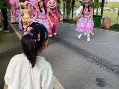 -黄海国家森林公园