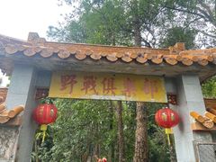 -广州市流溪河国家森林公园