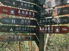 -上海海湾国家森林公园